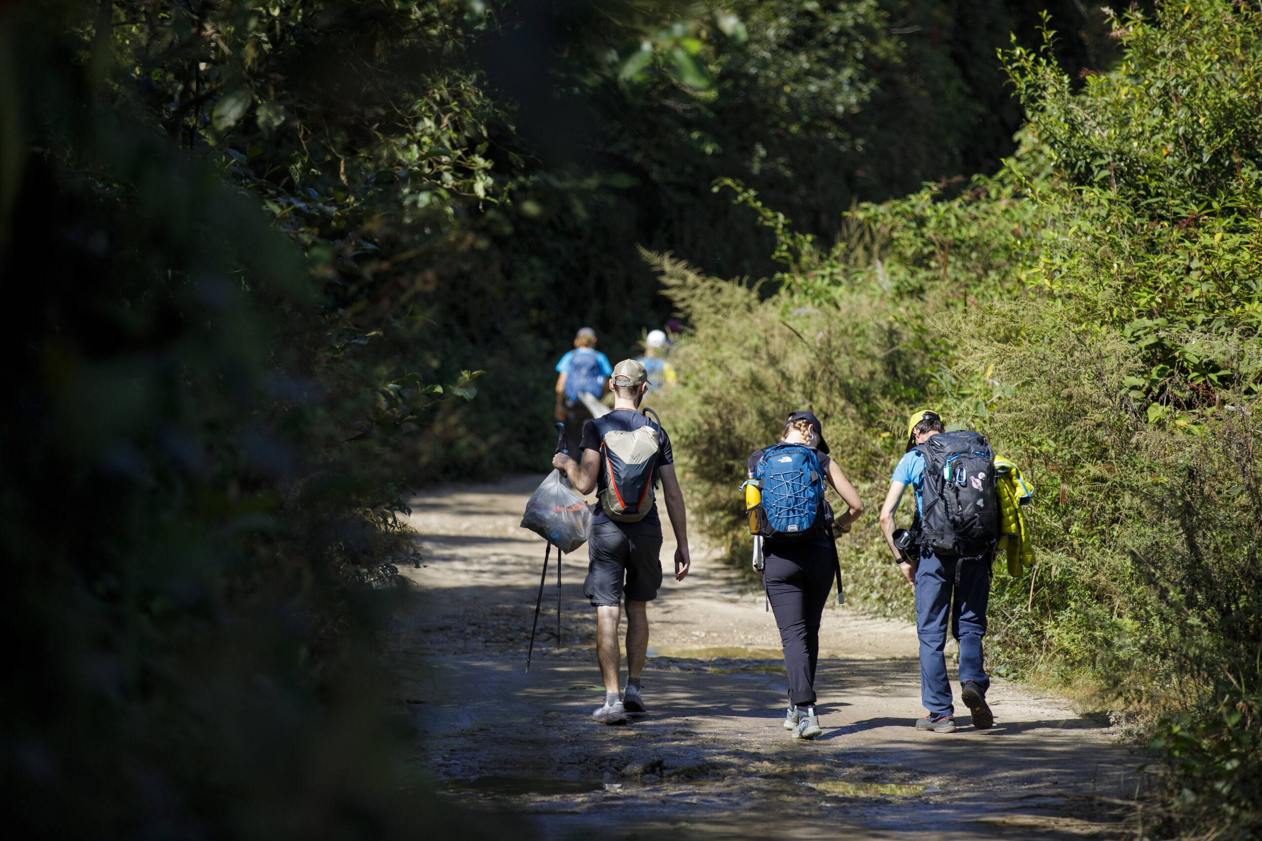 Hiking Enthusiast- Himalayan Ridge Trek & Regenerative Retreat