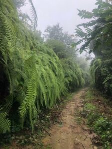 Prakriti Resort & Organic Farm