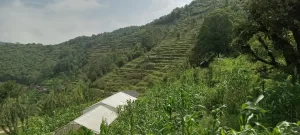 Shivapuri Nagarjun National Park