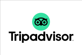 A log of Tripadvisor