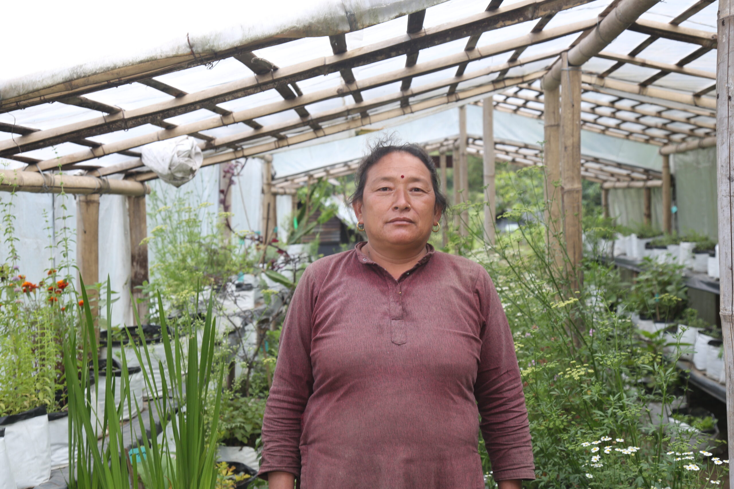 Bimala Gurung